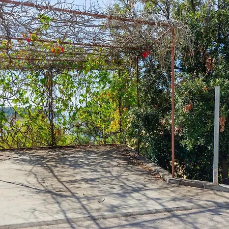 By The Sea Diana プリズバ